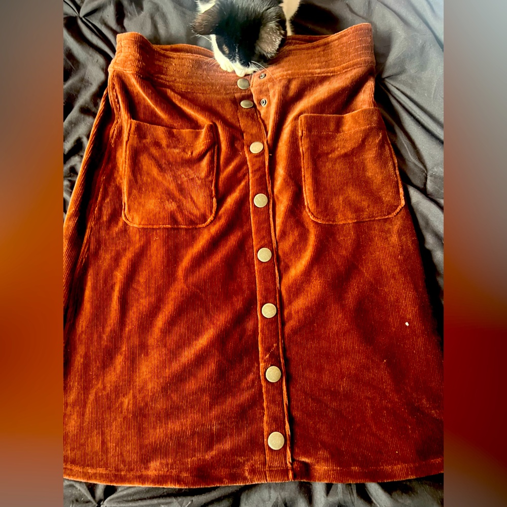 Stylish burnt wood color skirt